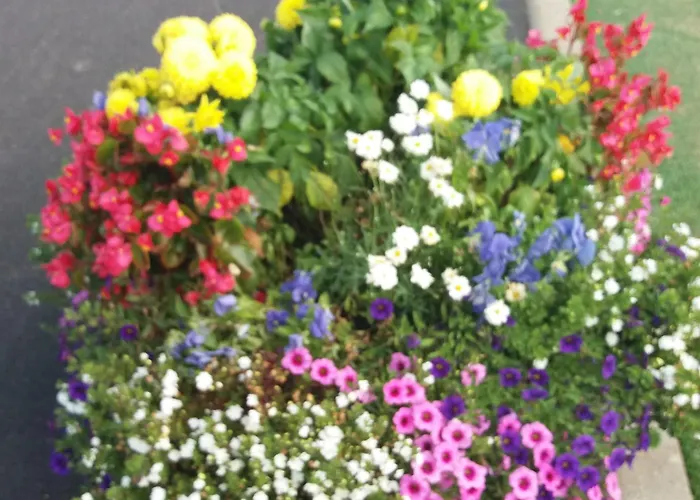 Appartement Lappmarkenix